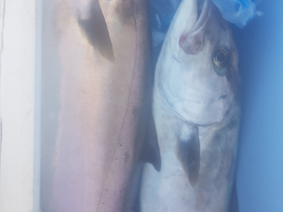 J & M Tackle-橙色海湾必去景点