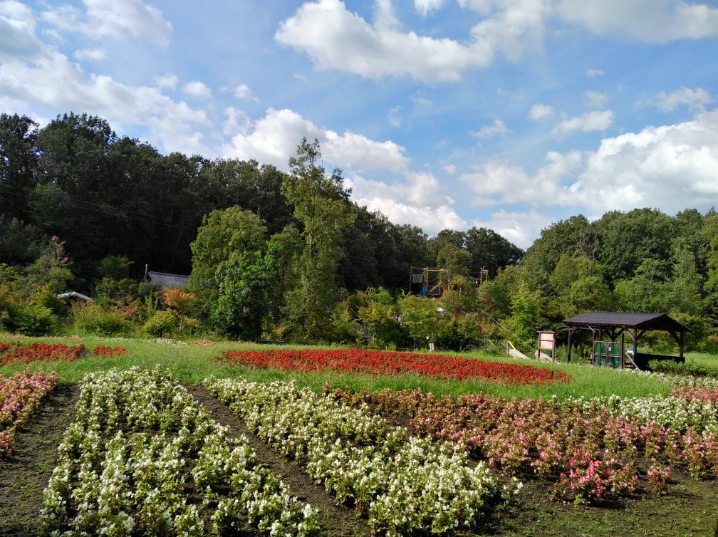 Gifu Seiryu Satoyama Park景点图片