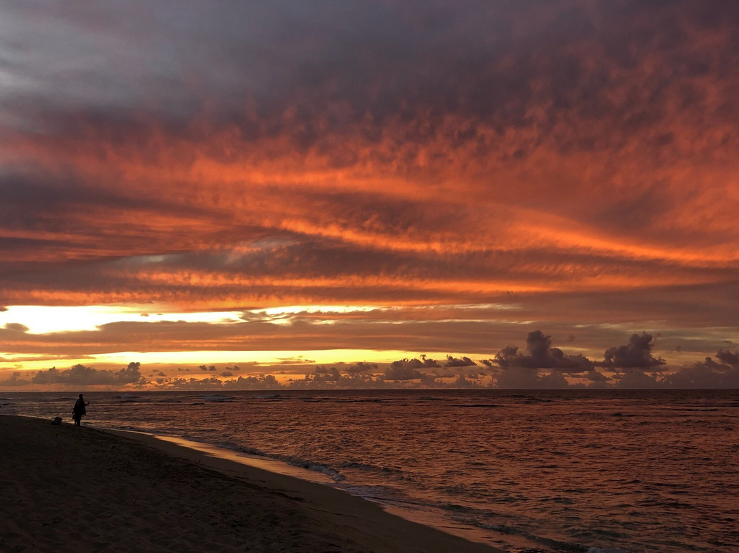 Polo Beach-瓦亚禄必去景点