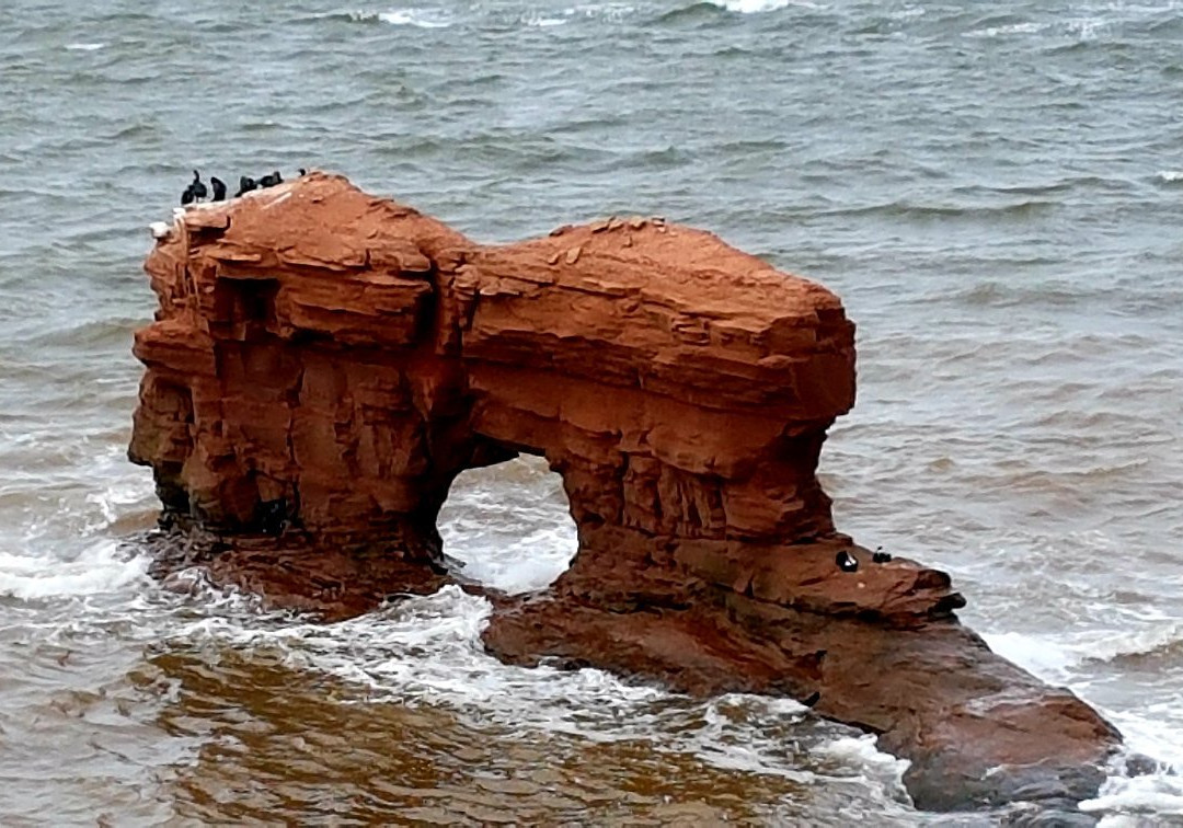Cape Egmont Lighthouse-Abram Village必去景点