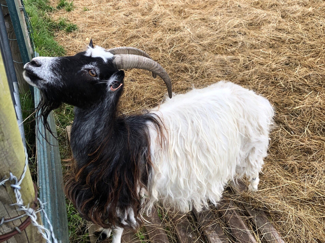 Skalatjorn Guesthouse主图