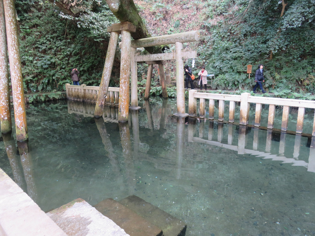Mitarashi Pond-鹿岛市必去景点