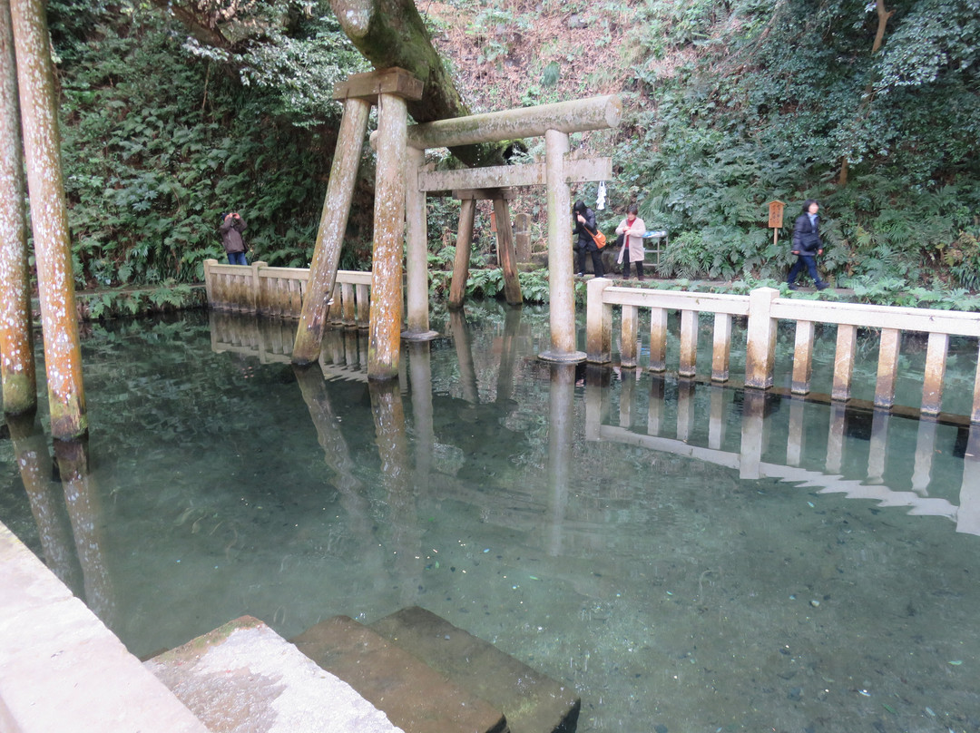 Mitarashi Pond景点图片