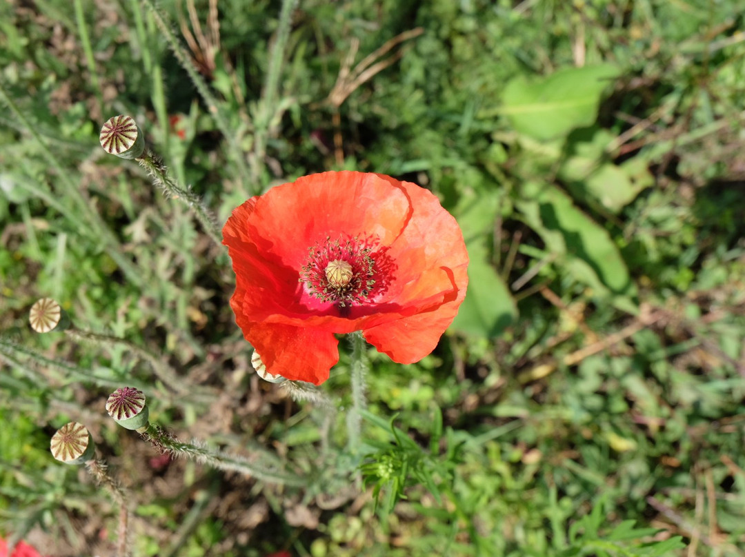 La Ferme de Leix主图