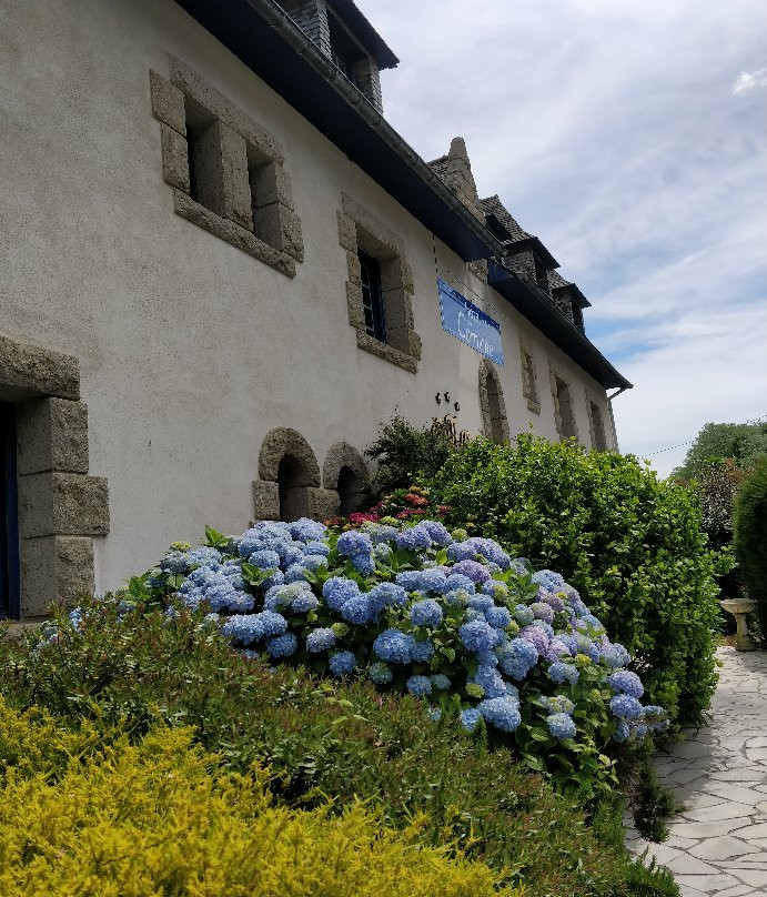 Logis Hôtel de la Corniche主图