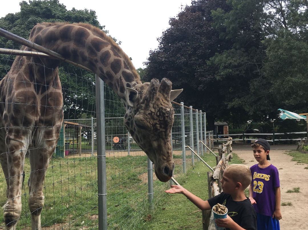 Long Island Game Farm - Wildlife Park & Children's Zoo景点图片