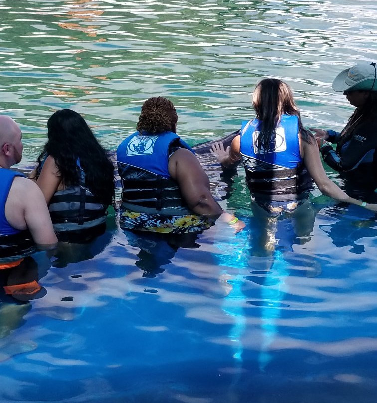 Sea Life Park Animal Encounters-威玛纳诺必去景点