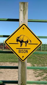 Broken Wagon Bison景点图片