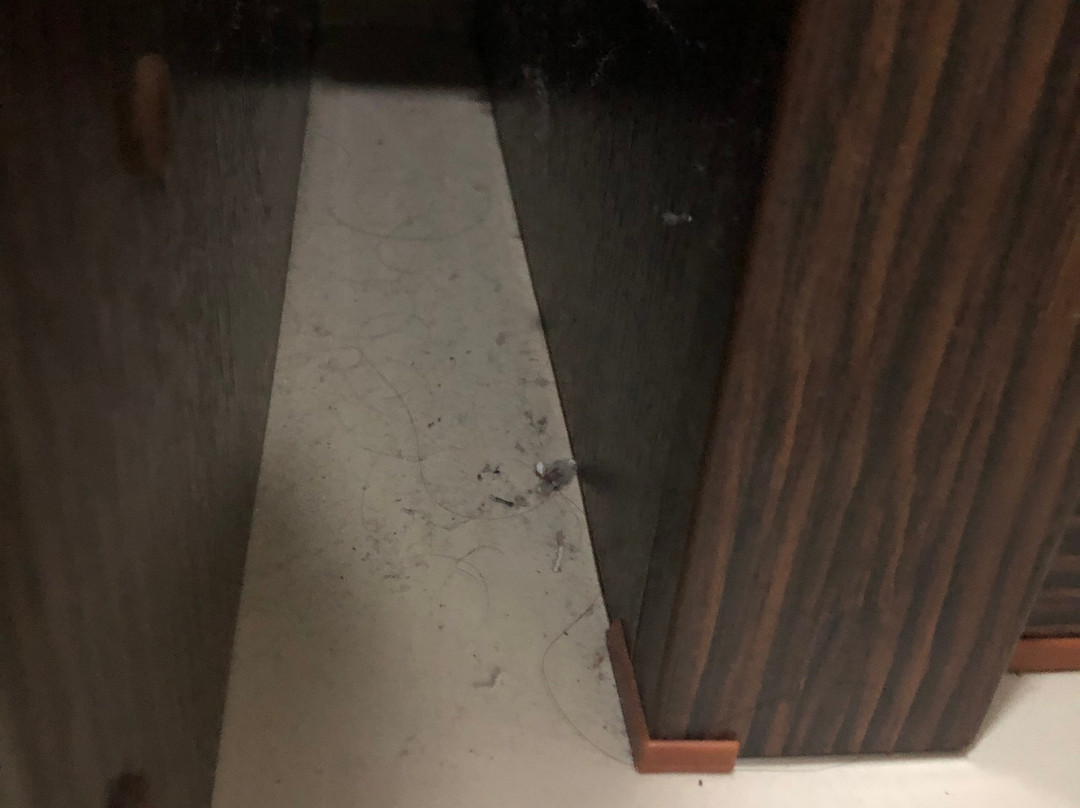 Teluk Lipat Seaview Inn主图