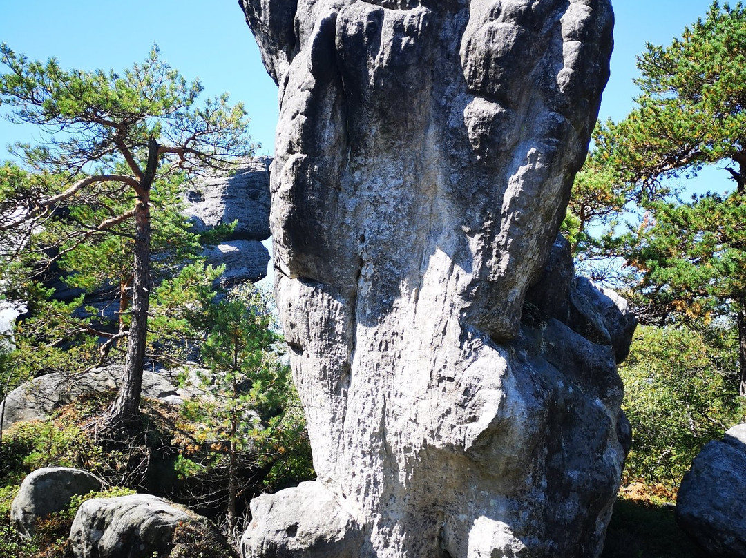 Szczeliniec Wielki景点图片