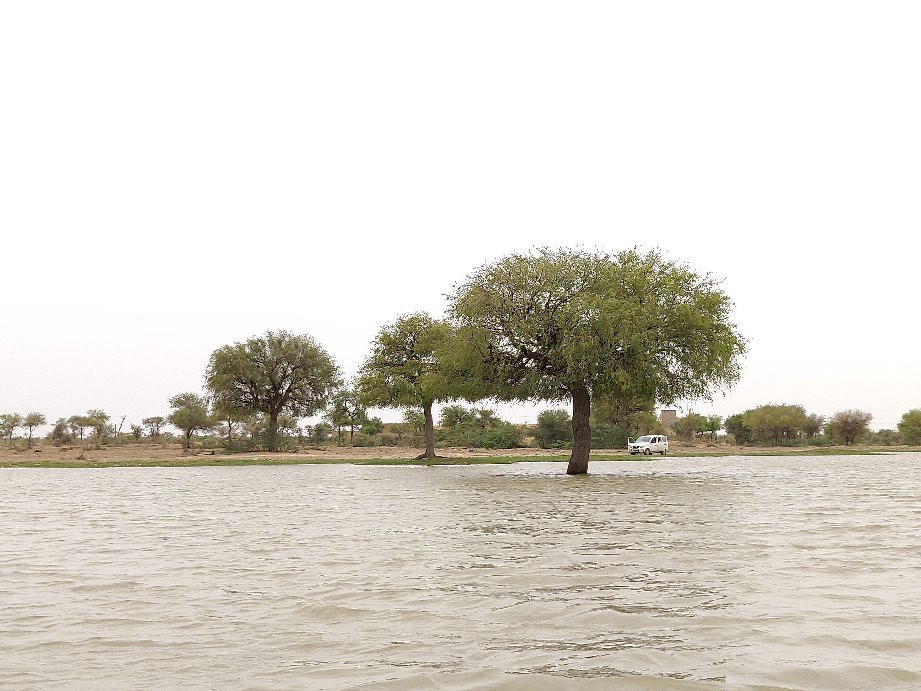 Gadsisar Sagar Lake景点图片