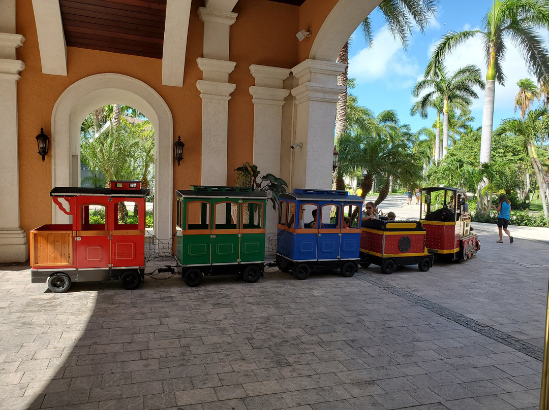 特克斯和凯科斯群岛海滩渡假村及水疗中心 - 全包主图