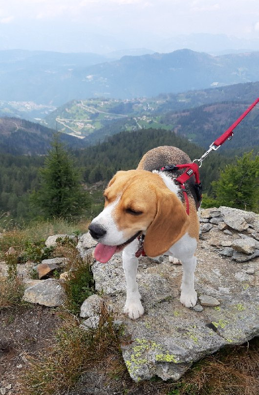 Panarotta 2002-莱维科泰尔梅必去景点