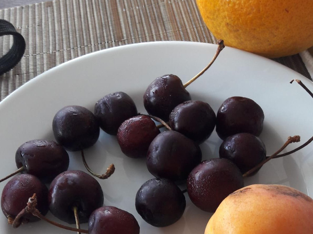 欧滕西亚酒店主图