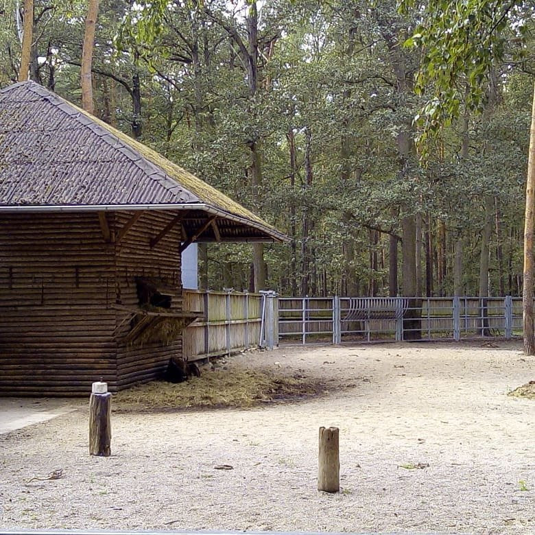 Animal Farm景点图片
