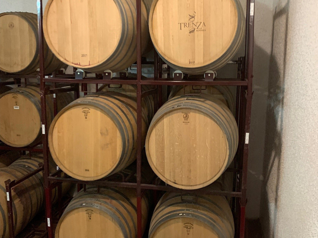 Bodegas Castaño-Yecla必去景点