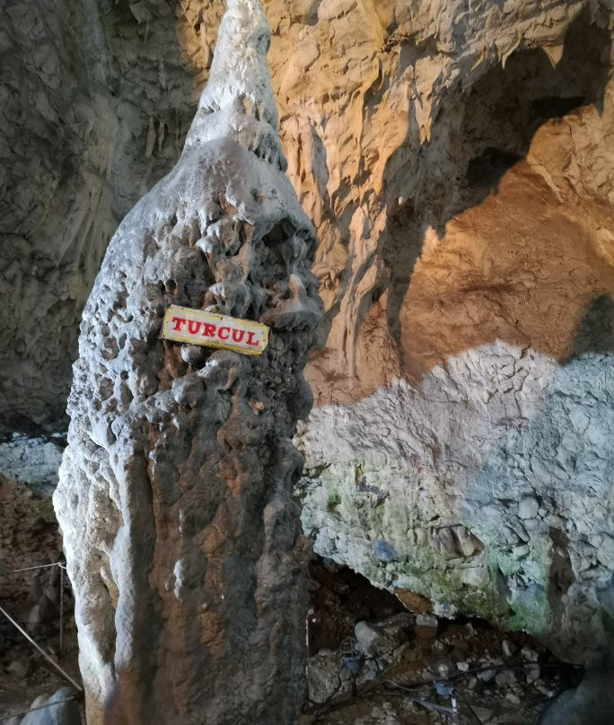 The Women's Cave ( Pestera Muierii )景点图片