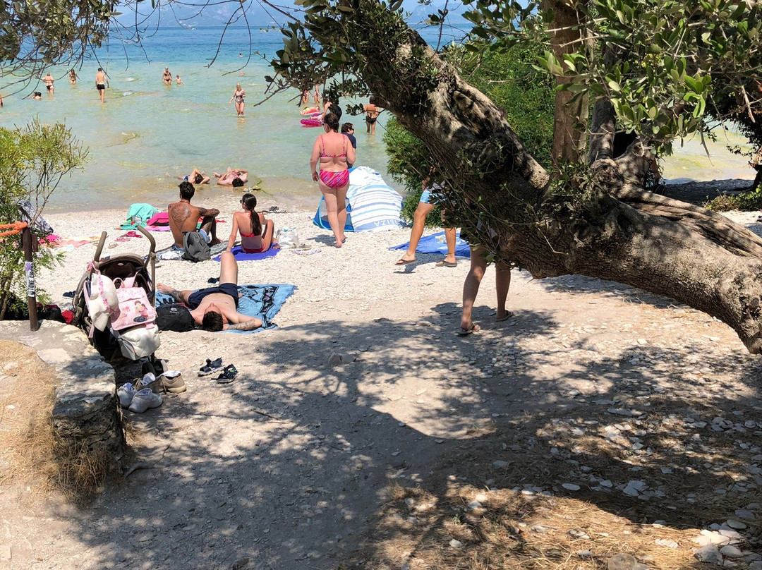Jamaica Beach景点图片