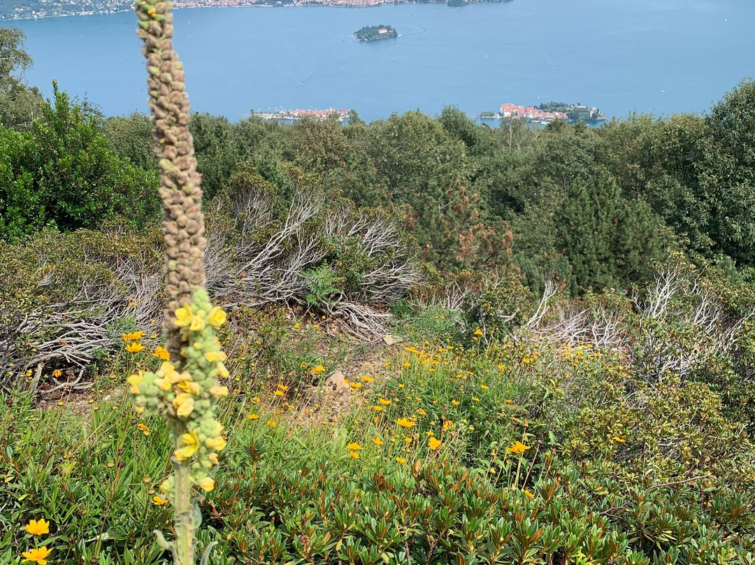 Giardino Botanico Alpinia景点图片