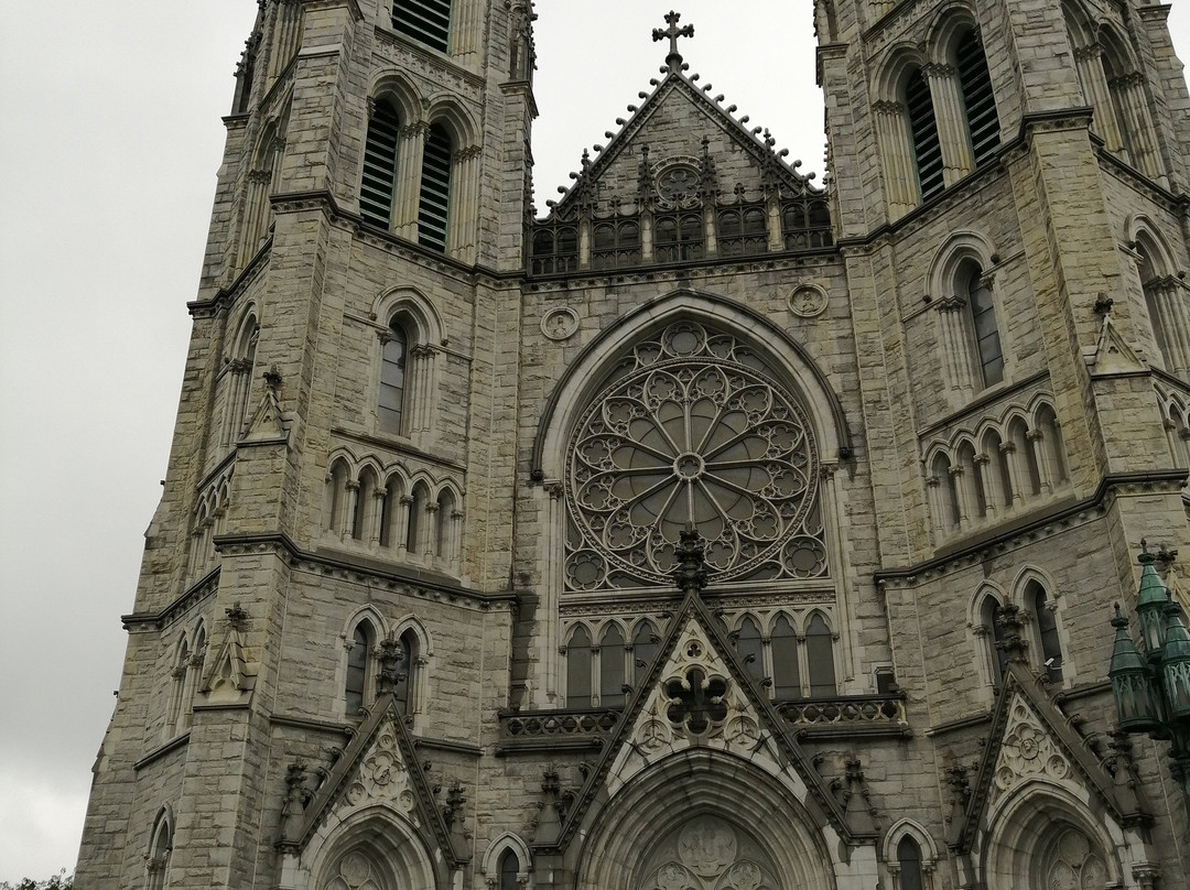 Cathedral Basilica of the Sacred Heart景点图片