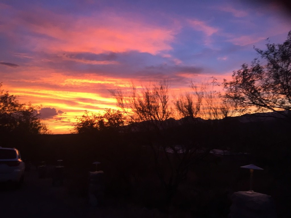 维德·丹戈旅客牧场主图