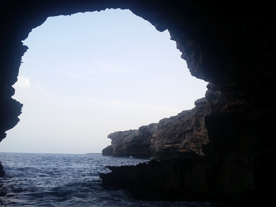 Bogaboga Menorca Experiences景点图片