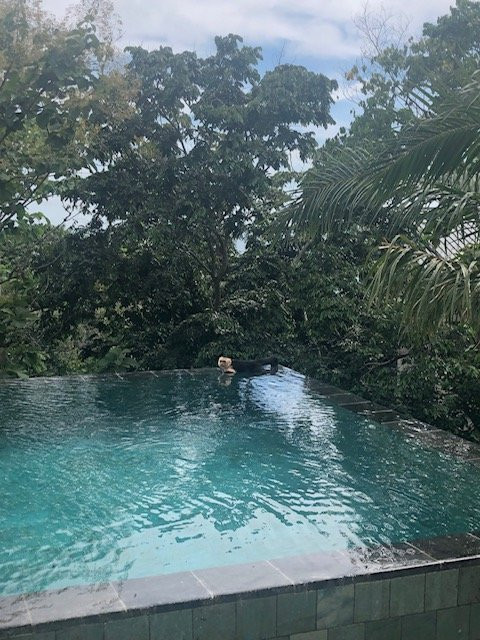 Tulemar Resort主图