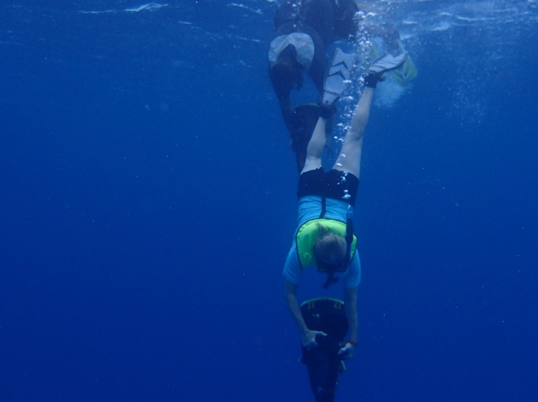 Aruba Bob Snorkel & Scuba-阿鲁巴岛必去景点
