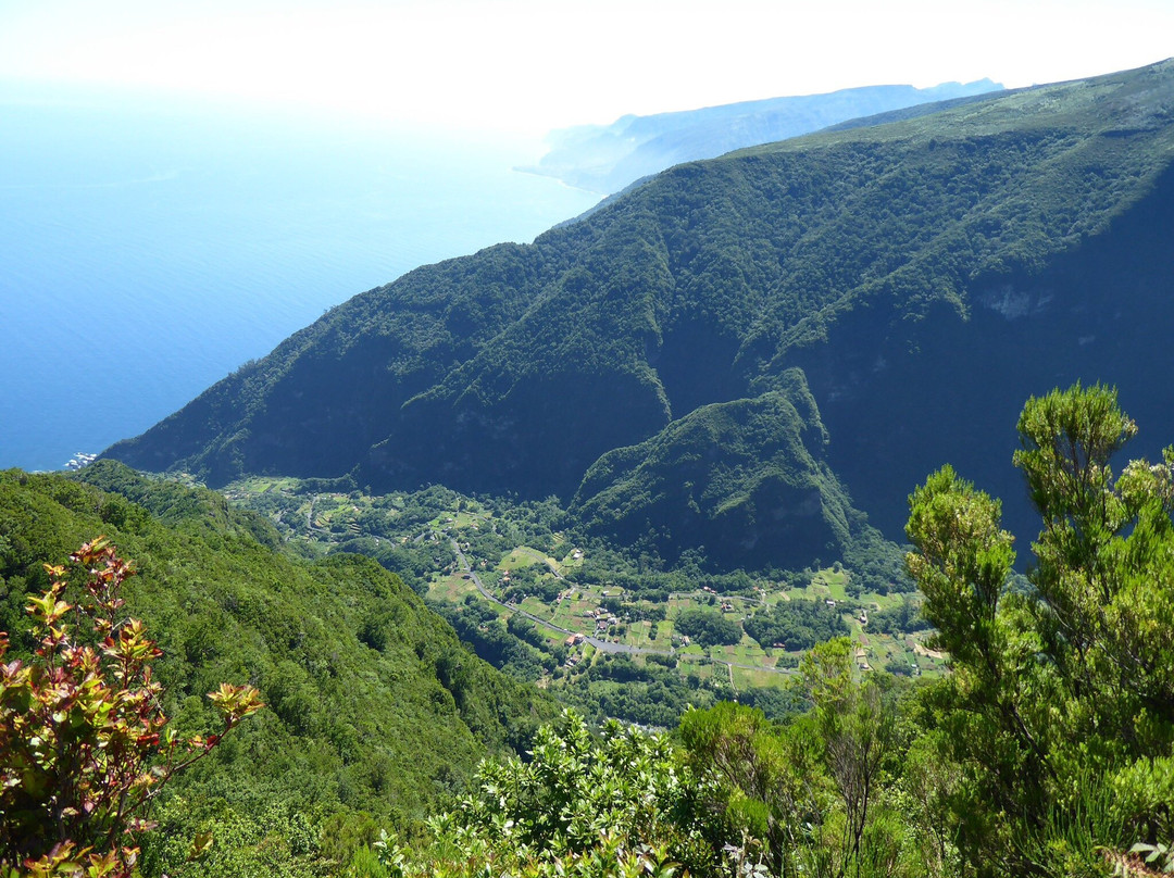 Safari Madeira Island景点图片