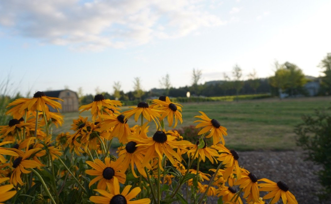 La Bastide Bed & Breakfast主图