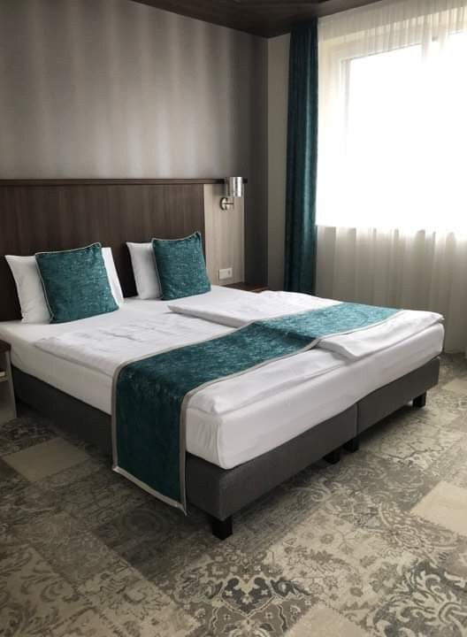 Termal Hotel Mesteri主图