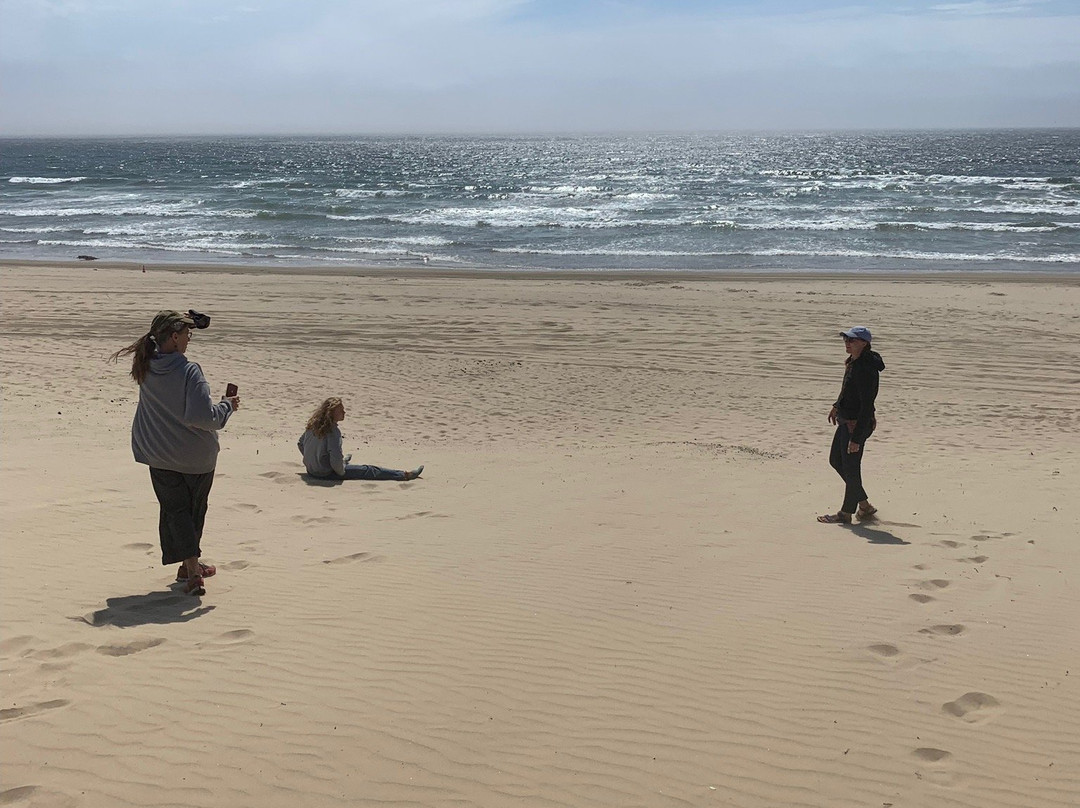 Pismo State Beach景点图片