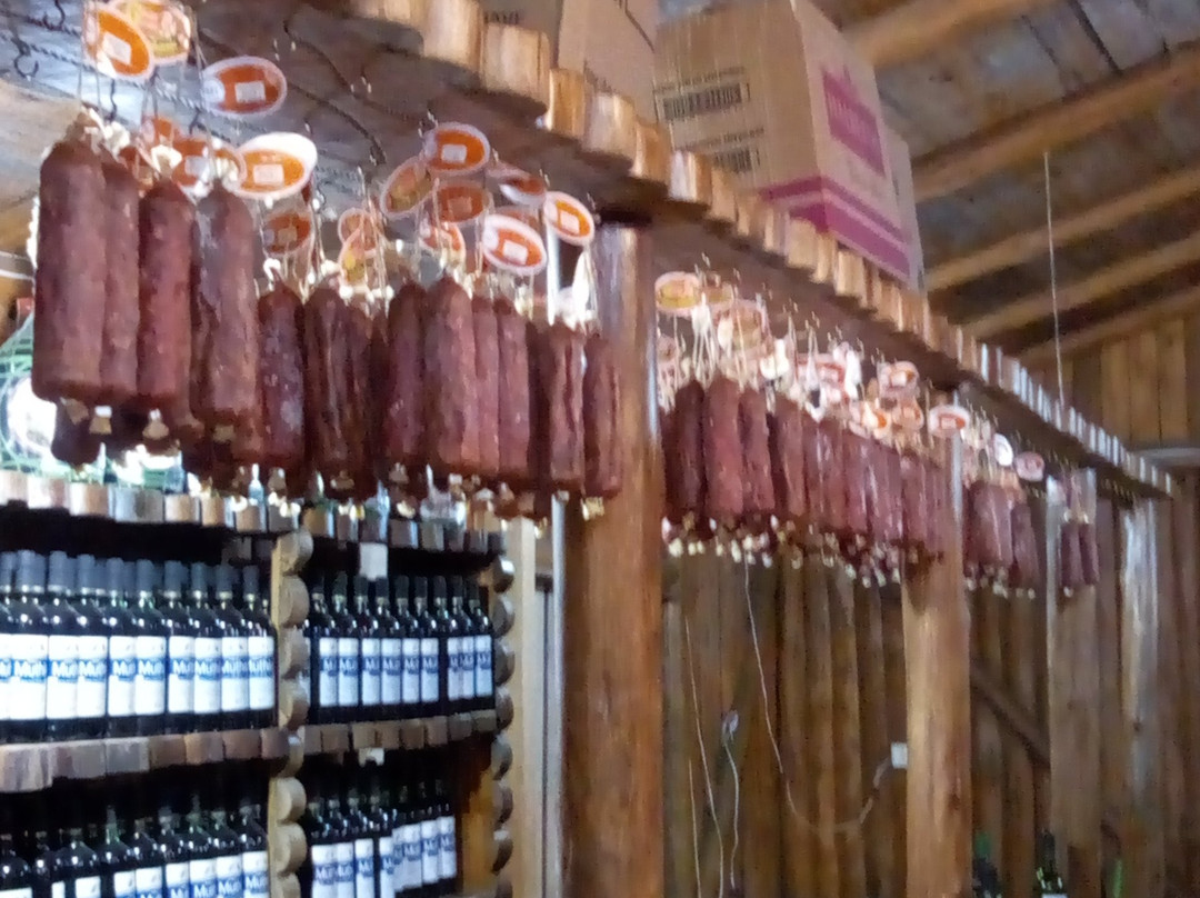 Adega Tradicao da Serra-卡内拉必去景点