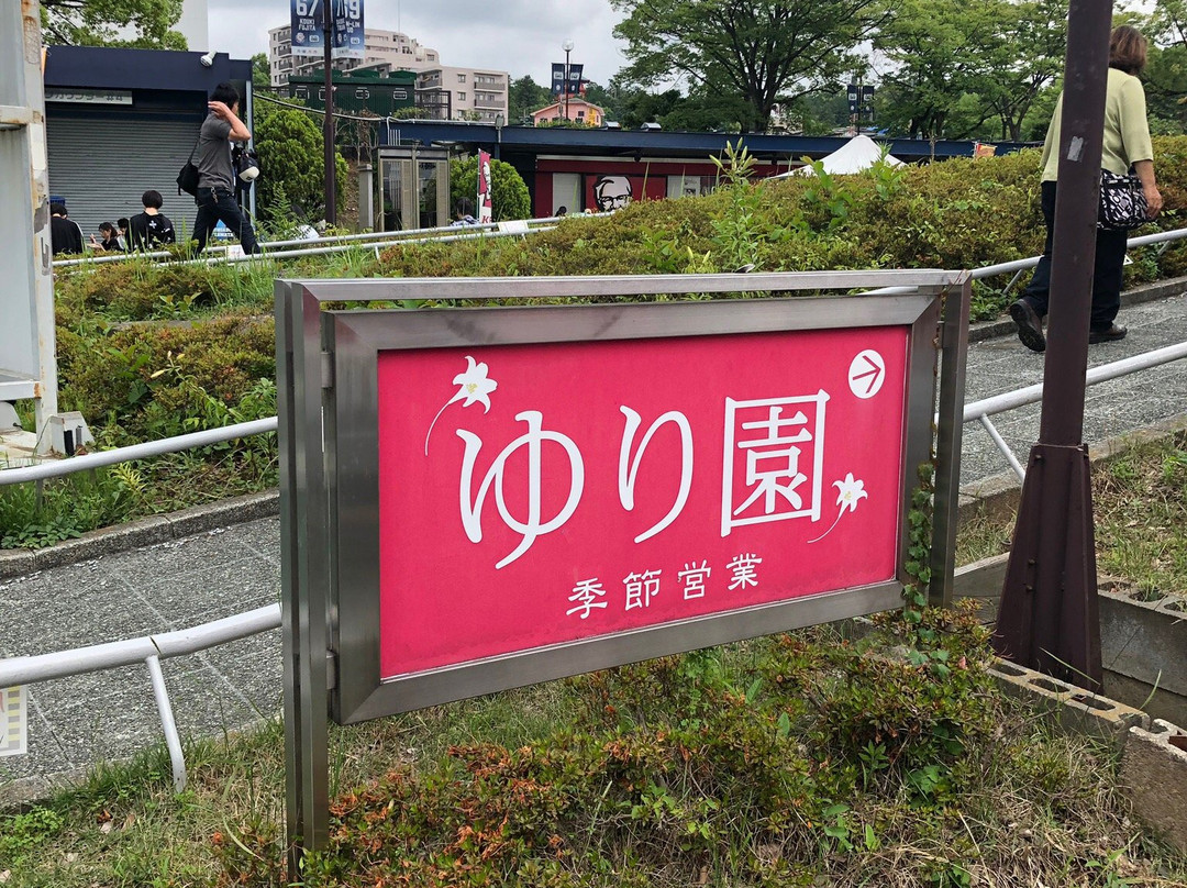 Lily Park-所泽市必去景点