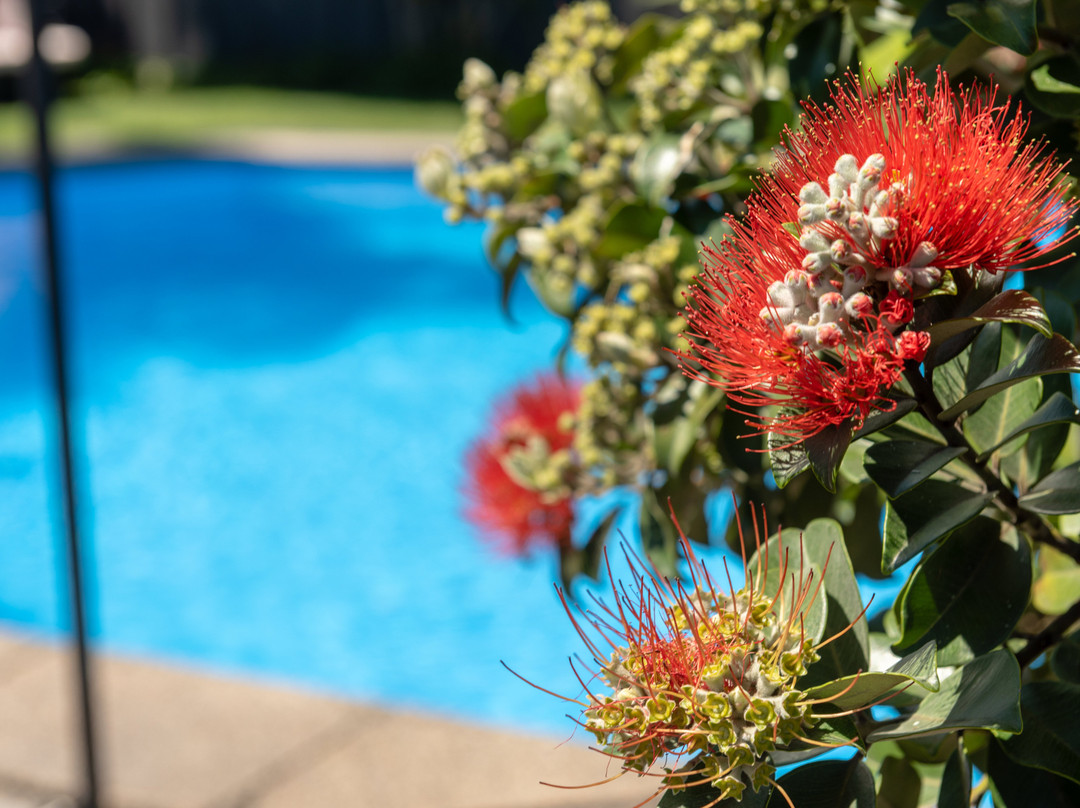 石庭汽车旅店主图