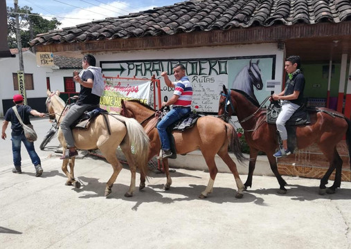 Cabalgatas Los Amigos de Salento-萨伦托必去景点