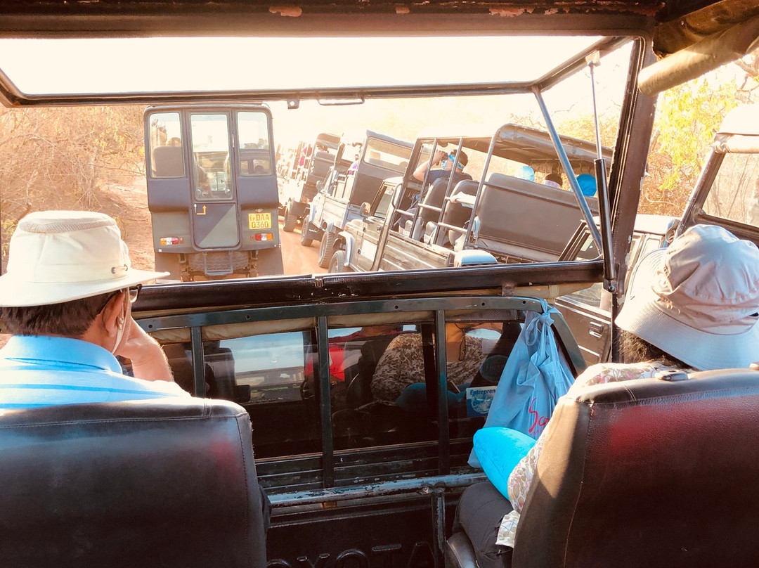 Sugathe's Yala Jeep Safaris景点图片