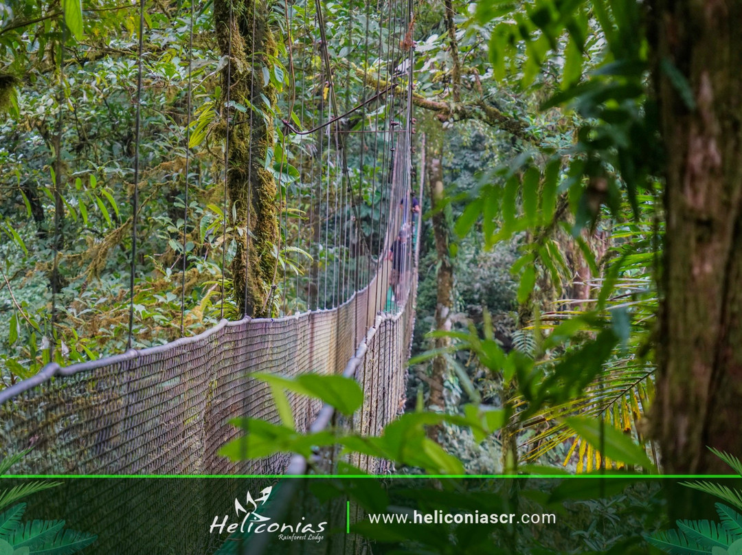 Heliconias Hanging Bridges Trails-Bijagua de Upala必去景点