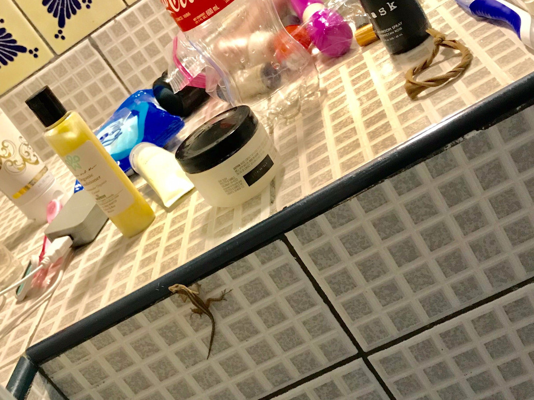 帕尔马斯酒店主图