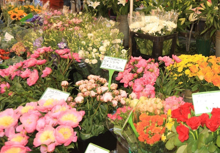 Marche aux Fleurs-普罗旺斯必去景点