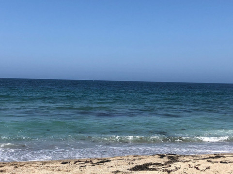 Torrance State Beach-雷东多海滩必去景点