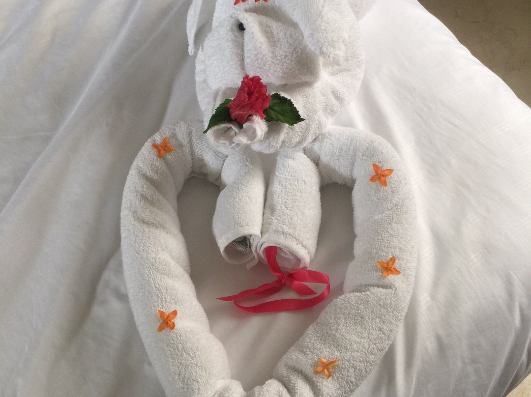 Hotel Villa Creole主图