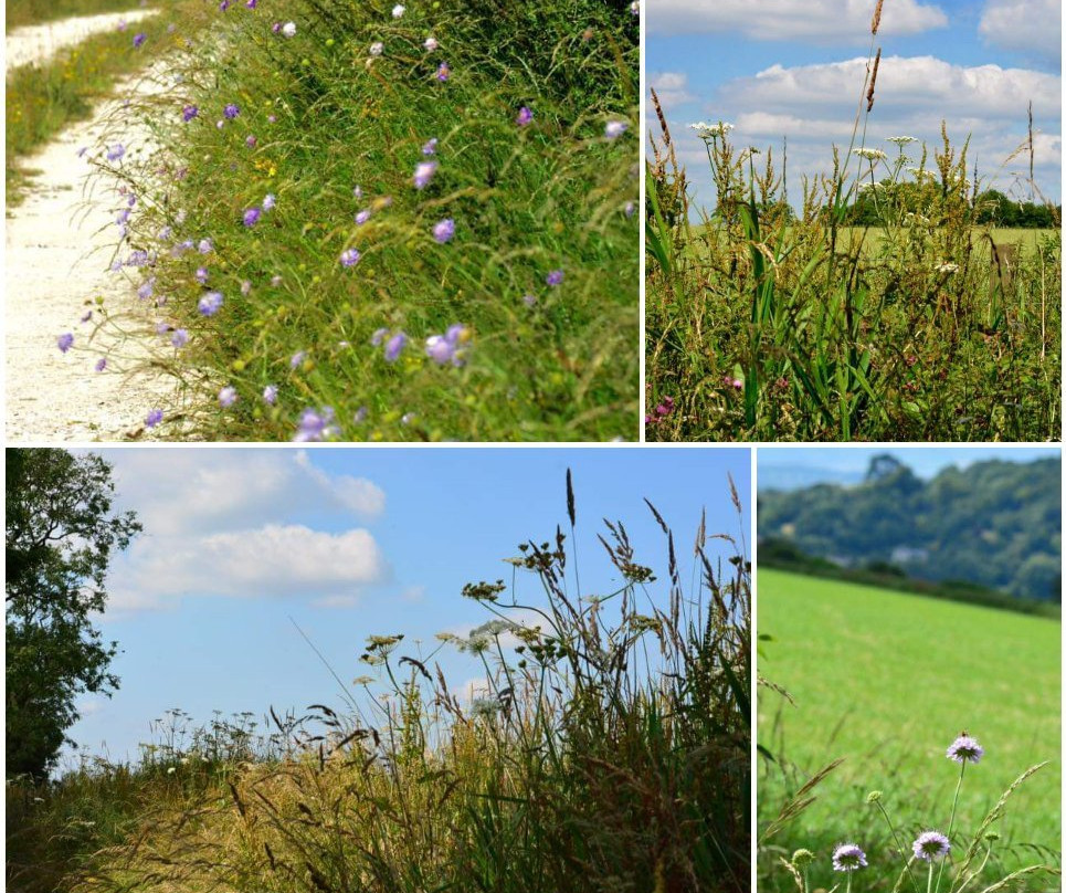 Walks around Wotton-under-Edge景点图片