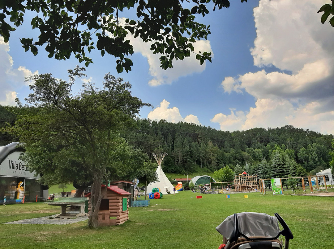 Villa Betula Resort - Horse Riding Arena景点图片