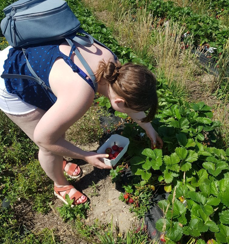 Goodall's Strawberry Farm景点图片