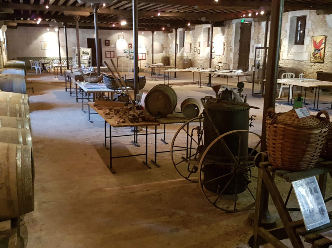 Musée du Chai de Lardimalie景点图片