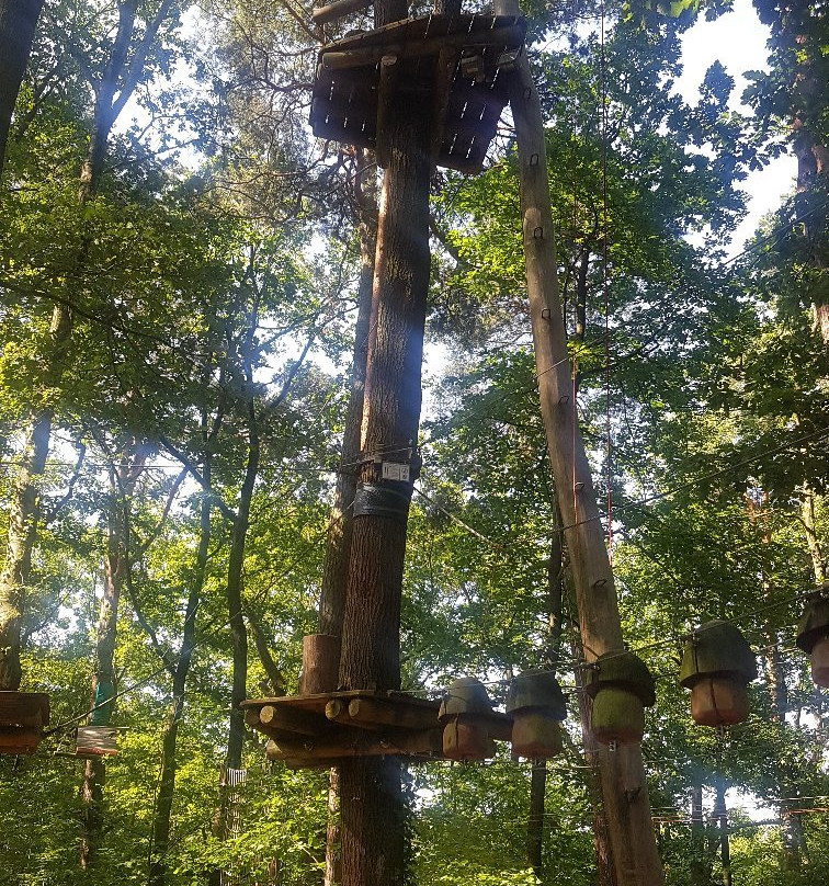 Kletterwald-Bad Saarow必去景点