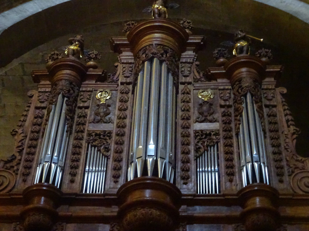 Cathédrale Notre Dame et Saint Paul景点图片