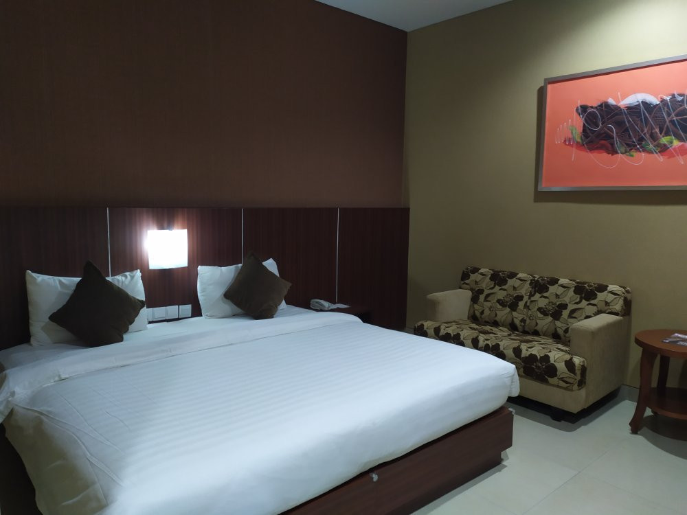 哈迪卡大酒店主图