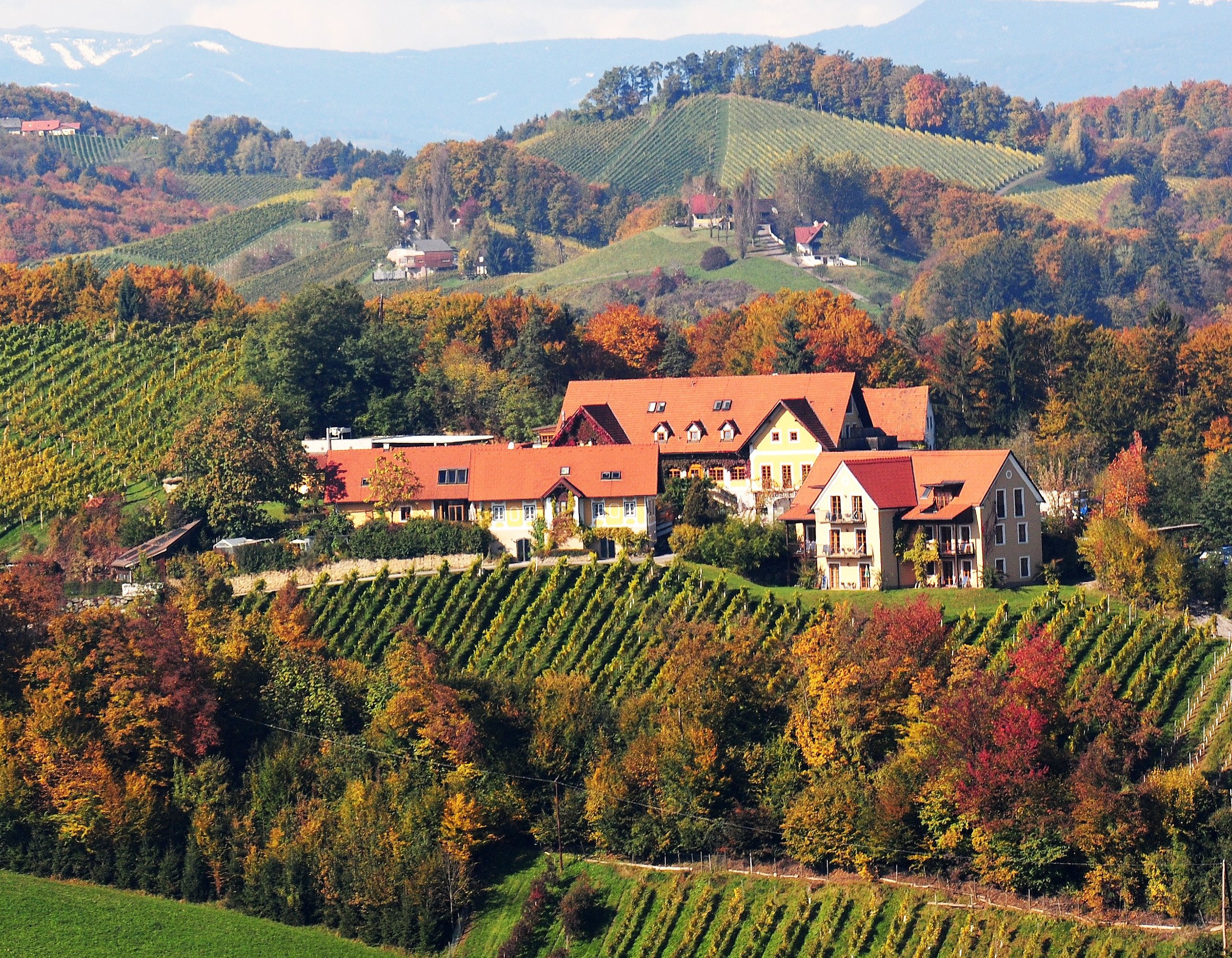 Weingut Sattlerhof-官方